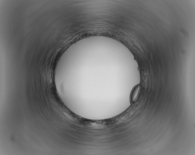 X0000111140232200906301023
