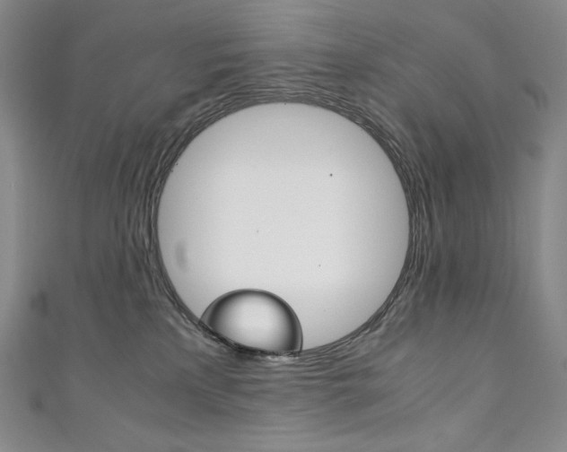 X0000111140233200906301023