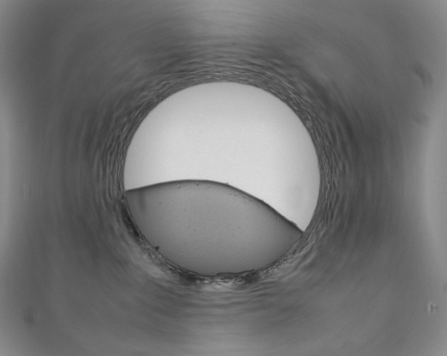 X0000111140235200906301023