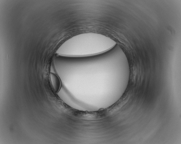 X0000111140236200906301023
