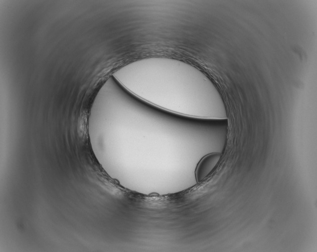 X0000111140240200906301023