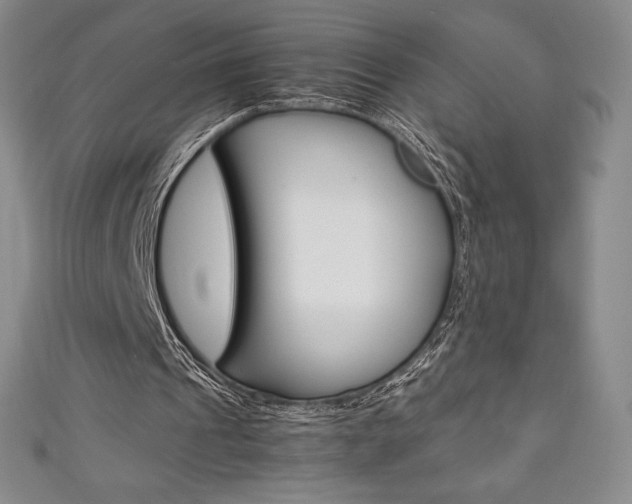 X0000111140241200906301023