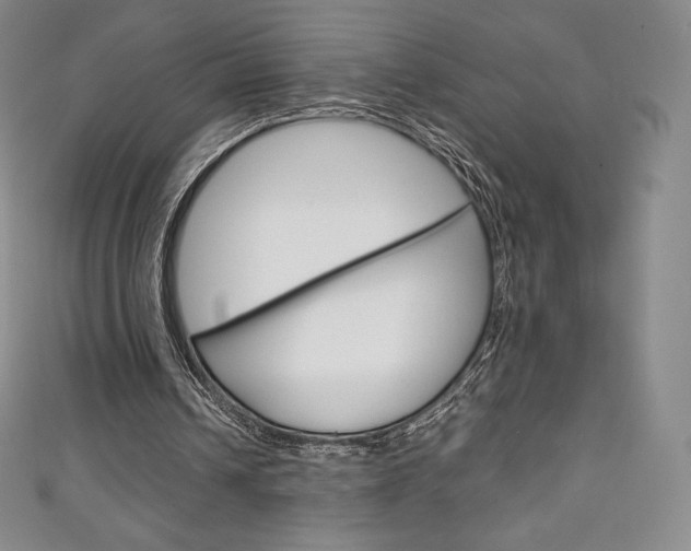 X0000111140242200906301023