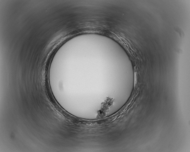 X0000111140243200906301023