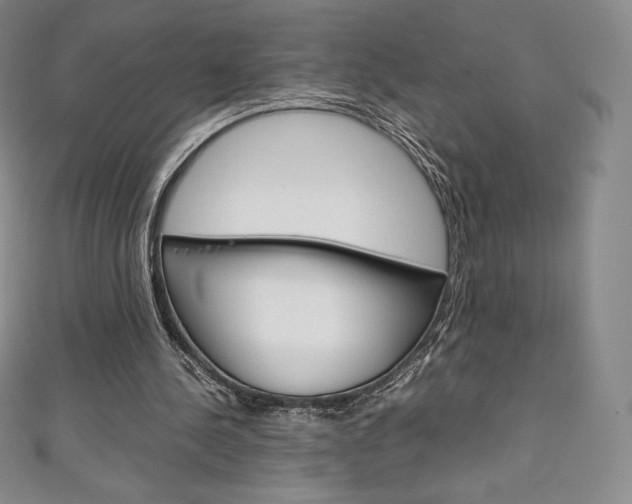 X0000111140244200906301023