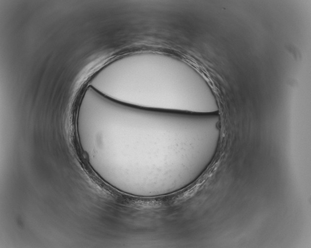 X0000111140245200906301023