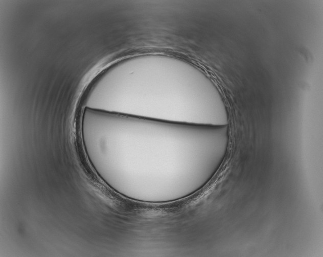 X0000111140246200906301023