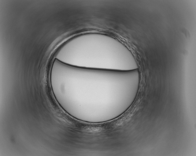 X0000111140247200906301023