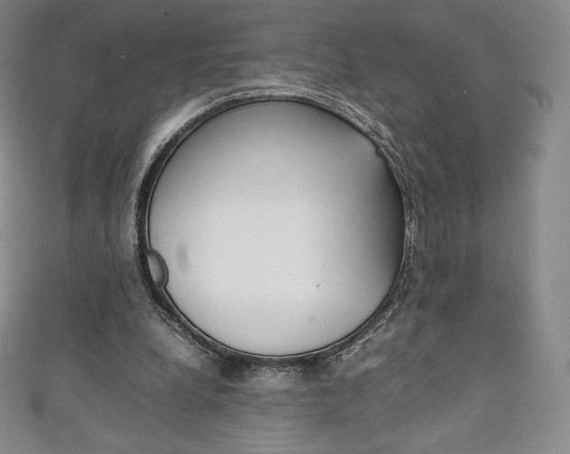 X0000111140248200906301023