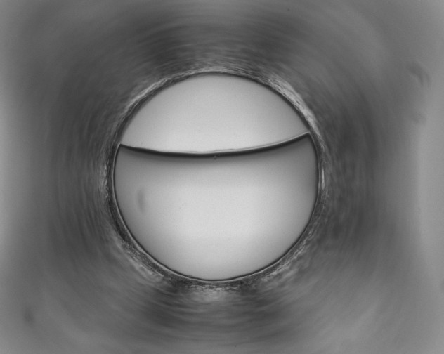 X0000111140249200906301023