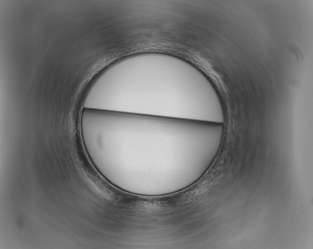 X0000111140250200906301023