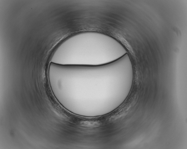 X0000111140251200906301023