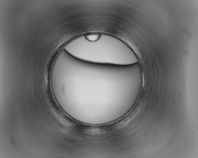 X0000111140253200906301023