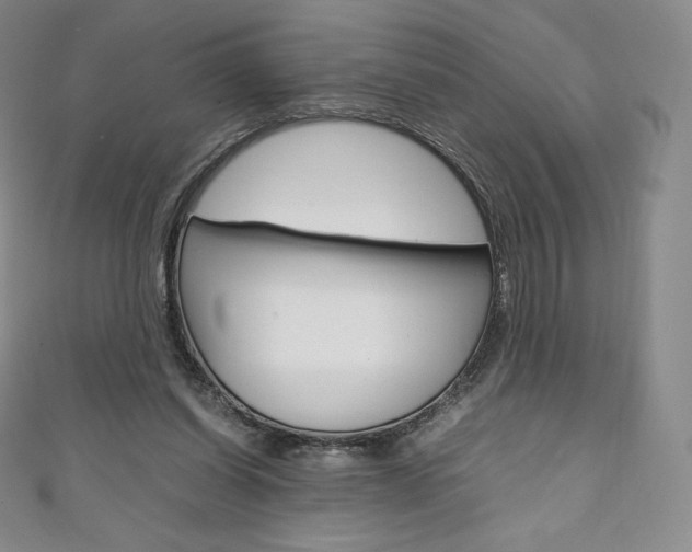 X0000111140254200906301023