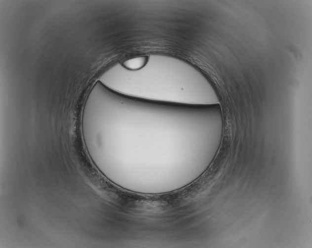 X0000111140255200906301023