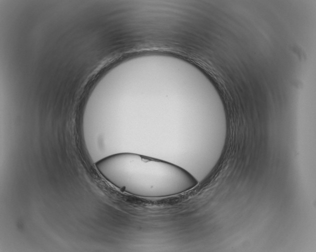 X0000111140256200906301023