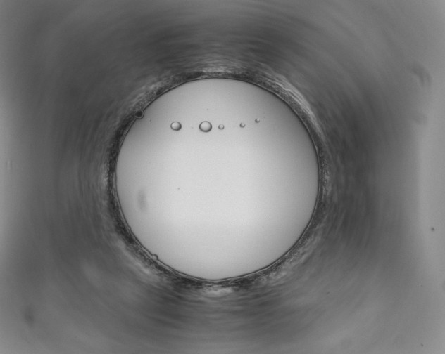 X0000111140257200906301023