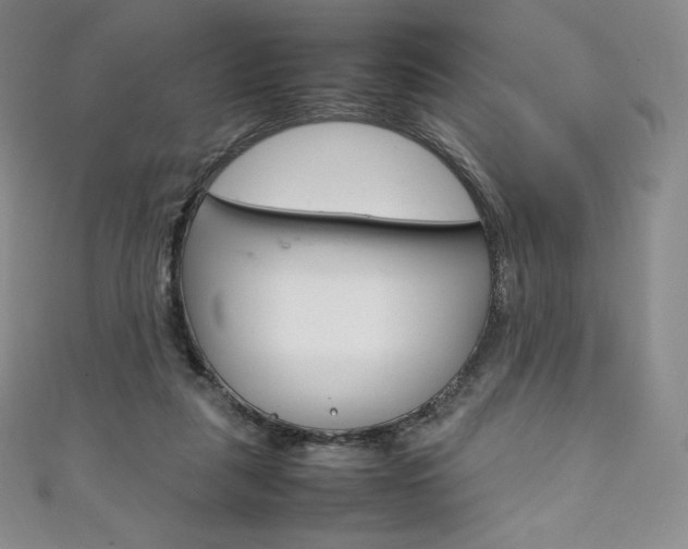 X0000111140259200906301023