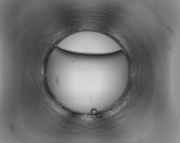 X0000111140261200906301023