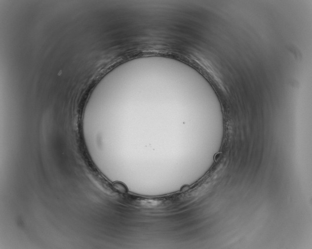 X0000111140265200906301023