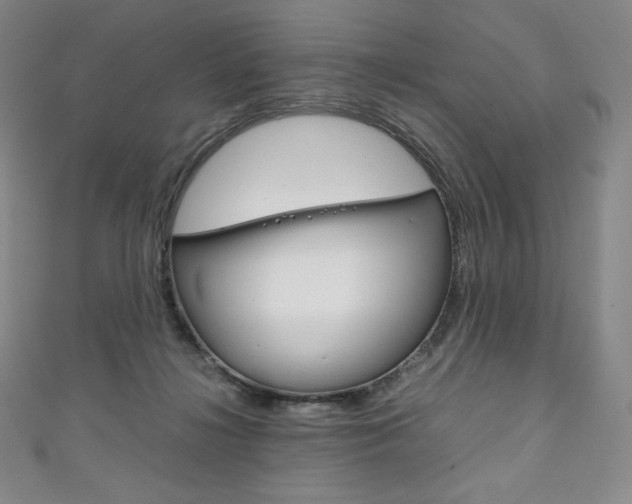 X0000111140268200906301023