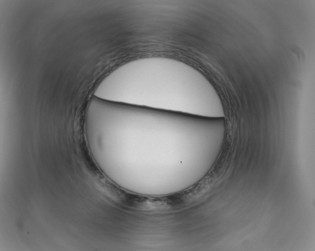 X0000111140270200906301023