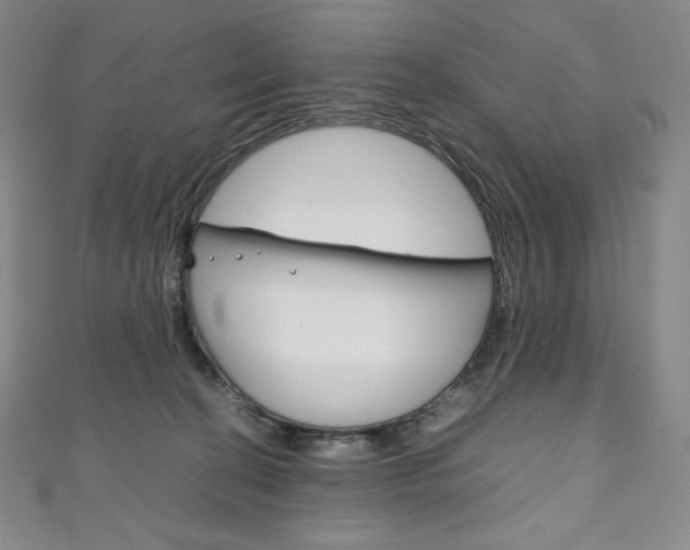X0000111140274200906301023