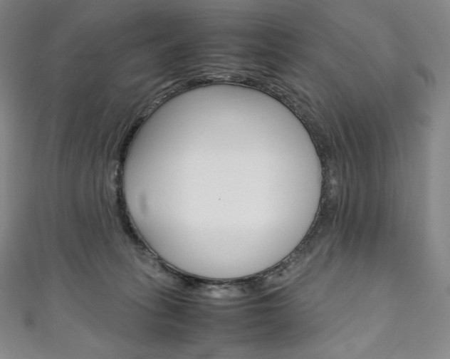 X0000111140275200906301023