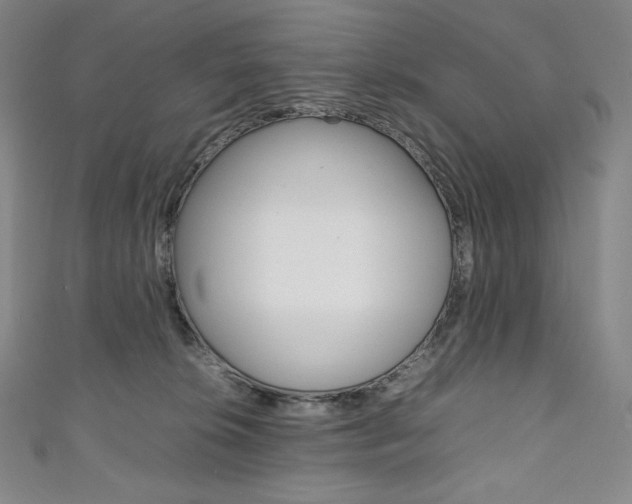 X0000111140276200906301023