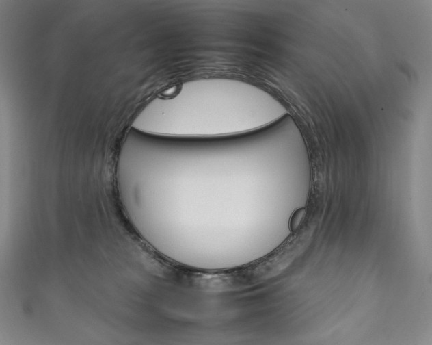 X0000111140277200906301023