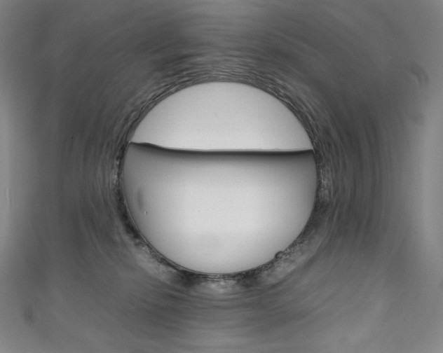 X0000111140278200906301023
