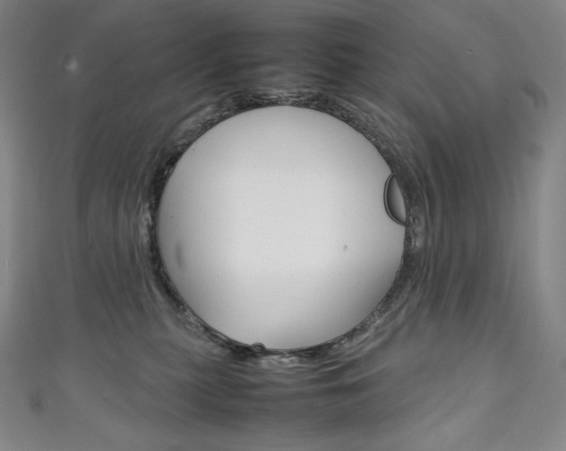 X0000111140279200906301023