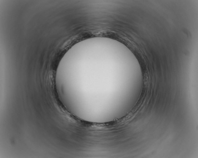X0000111140280200906301023