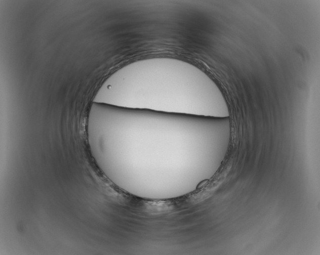 X0000111140281200906301023