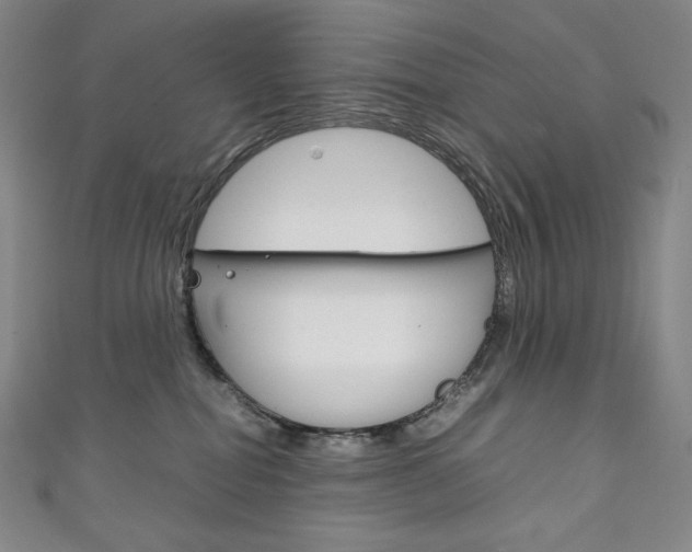 X0000111140282200906301023