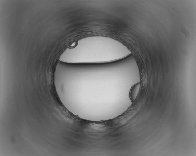 X0000111140283200906301023