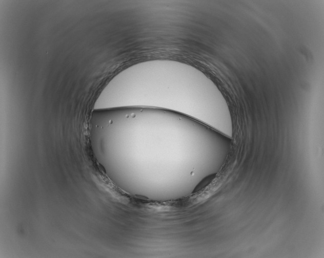 X0000111140284200906301023