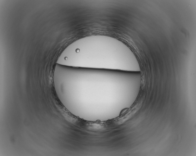 X0000111140285200906301023
