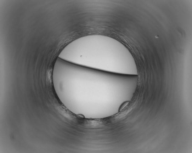 X0000111140286200906301023