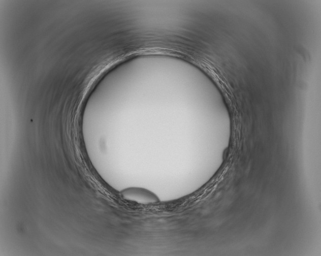 X0000111140289200906301022