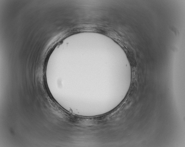 X0000111140293200906301022
