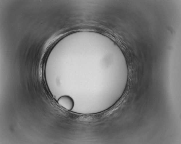 X0000111140294200906301022