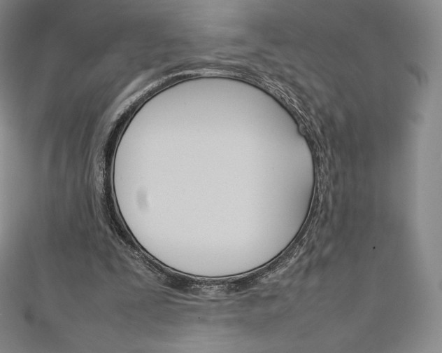 X0000111140295200906301022
