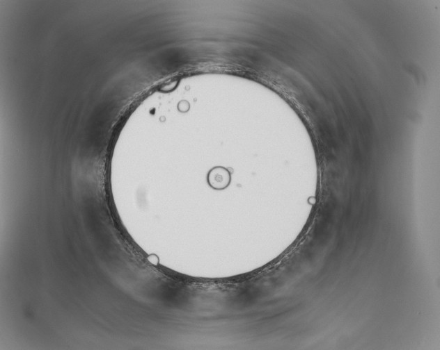 X0000111140297200906301022