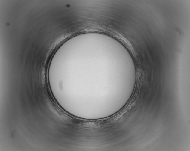 X0000111140298200906301022