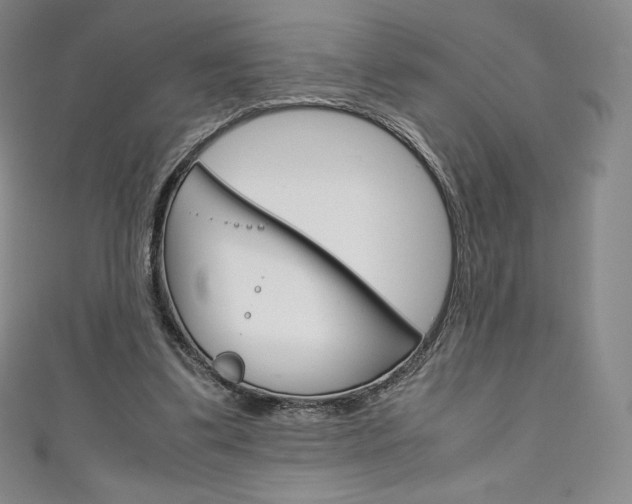 X0000111140299200906301022