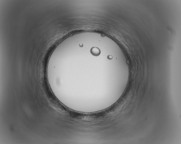 X0000111140303200906301022