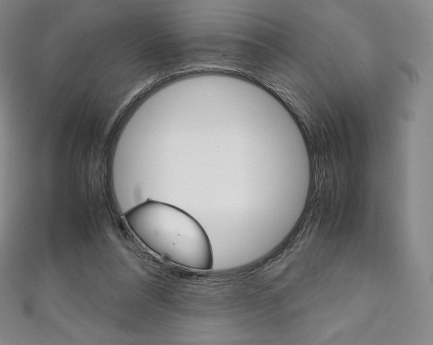 X0000111140304200906301022