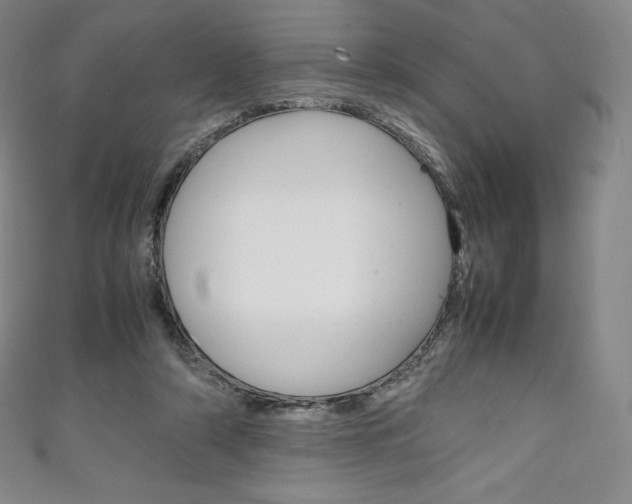 X0000111140306200906301022