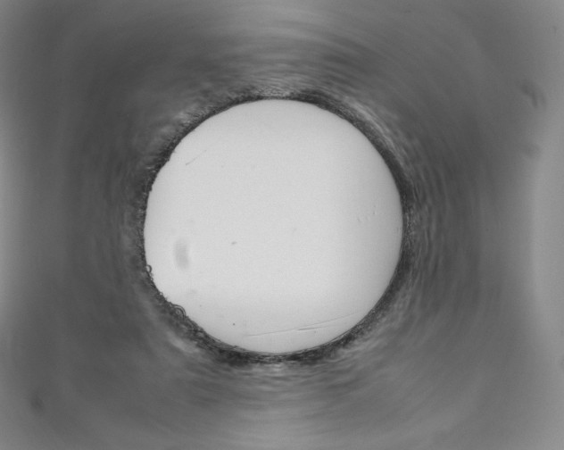 X0000111140307200906301022